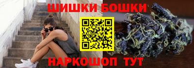 крисы Краснознаменск