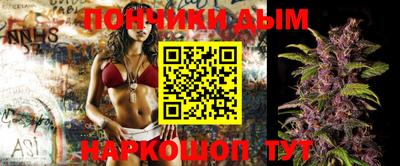 крисы Краснознаменск