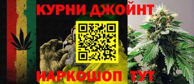 крисы Краснознаменск