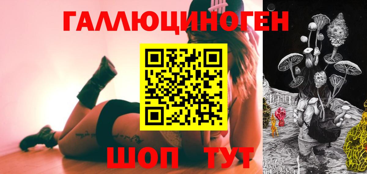 Знаменск  Галлюциногенные грибы прущие грибы  как найти наркотики  Вход с VPN 